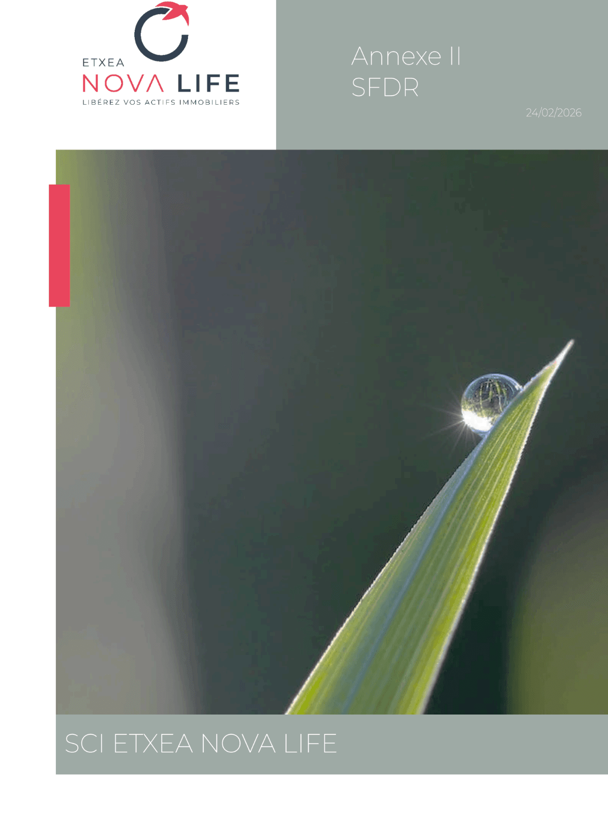 SFDR Article 8 hybride